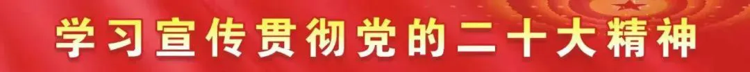 篮球运球训练心得体会范文怎么写_2